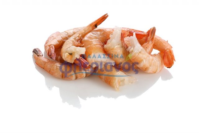 ΓΑΡΙΔΕΣ ΑΚΕΦΑΛΕΣ - SHRIMPS HEADLESS