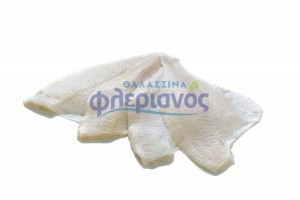 ΓΛΩΣΣΑ ΦΙΛΕΤΟ - SOLE FILLET