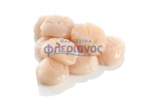 Χτένια ψίχα χωρίς αυγό – Scallops meat without egg