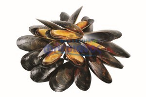 Μύδια με ολόκληρο κέλυφος – Mussels with whole shell