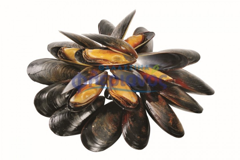 Μύδια με ολόκληρο κέλυφος – Mussels with whole shell
