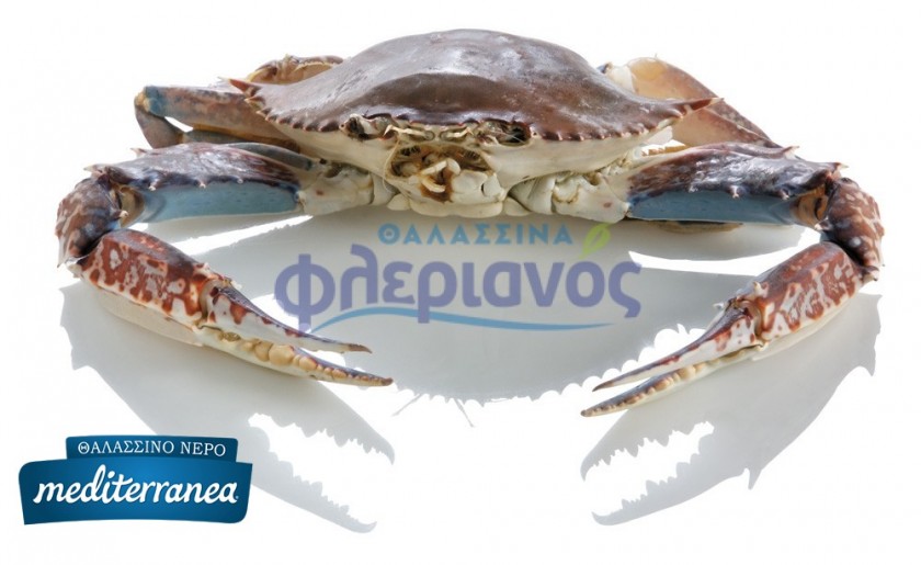 Καβούρι ολόκληρο με θαλασσινό νερό – Whole crab - Mediterranea Agua de Mar